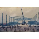 ΓΕΡΑΝΟΙ ΤΑΣΙΟΣ Βέροια Ημαθίας